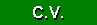 Sanae's C.V.