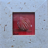 redonion_100.jpg